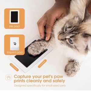 Pearhead Clean-Touch Ink Pad for Pets - Orange
